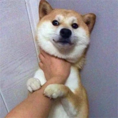 Atta Halilintar avatar