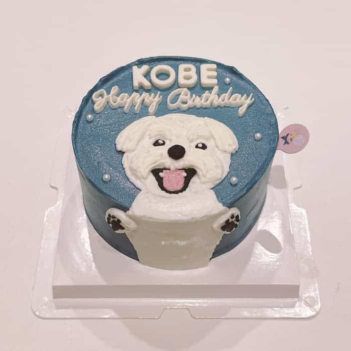 Nella Kharisma avatar